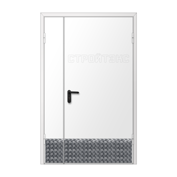 Дверь двупольная металлическая с алюминиевой накладкой