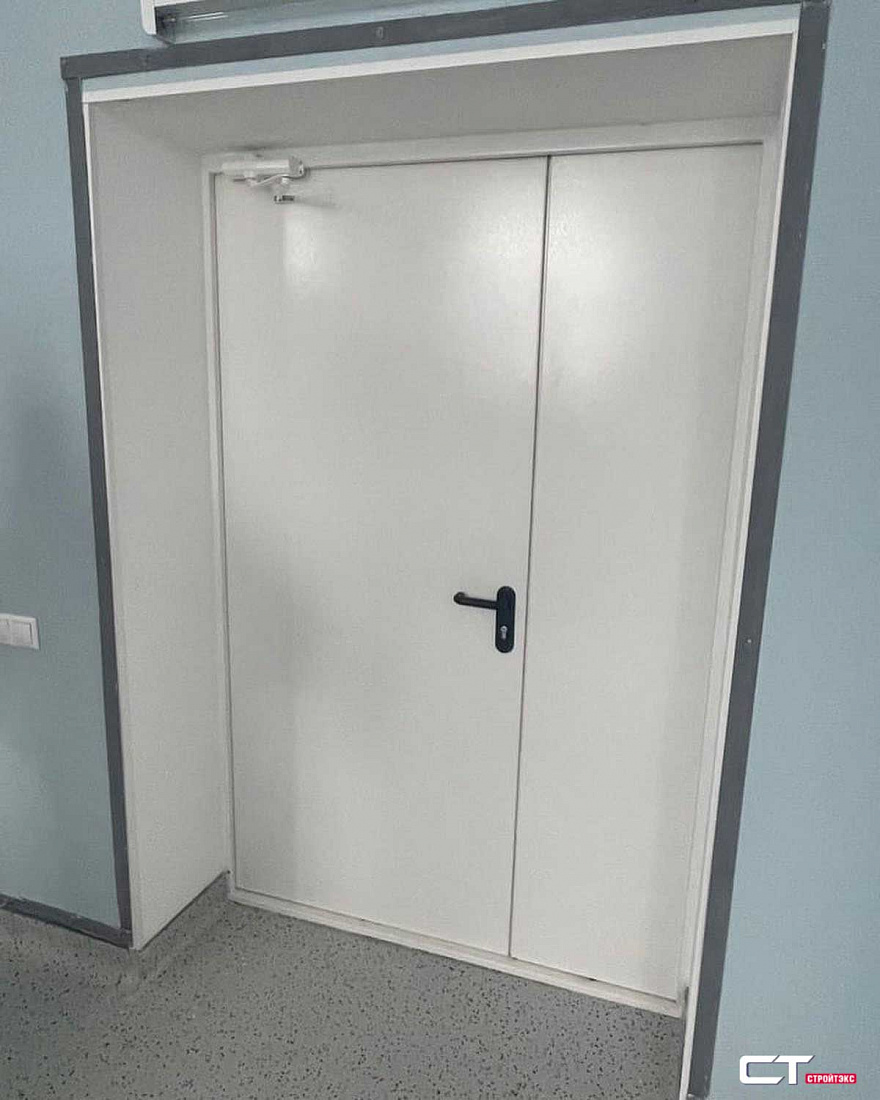 Дверь двупольная металлическая рентгенозащитная 2,5 Pb Дверь двупольная металлическая рентгенозащитная 2,5 Pb